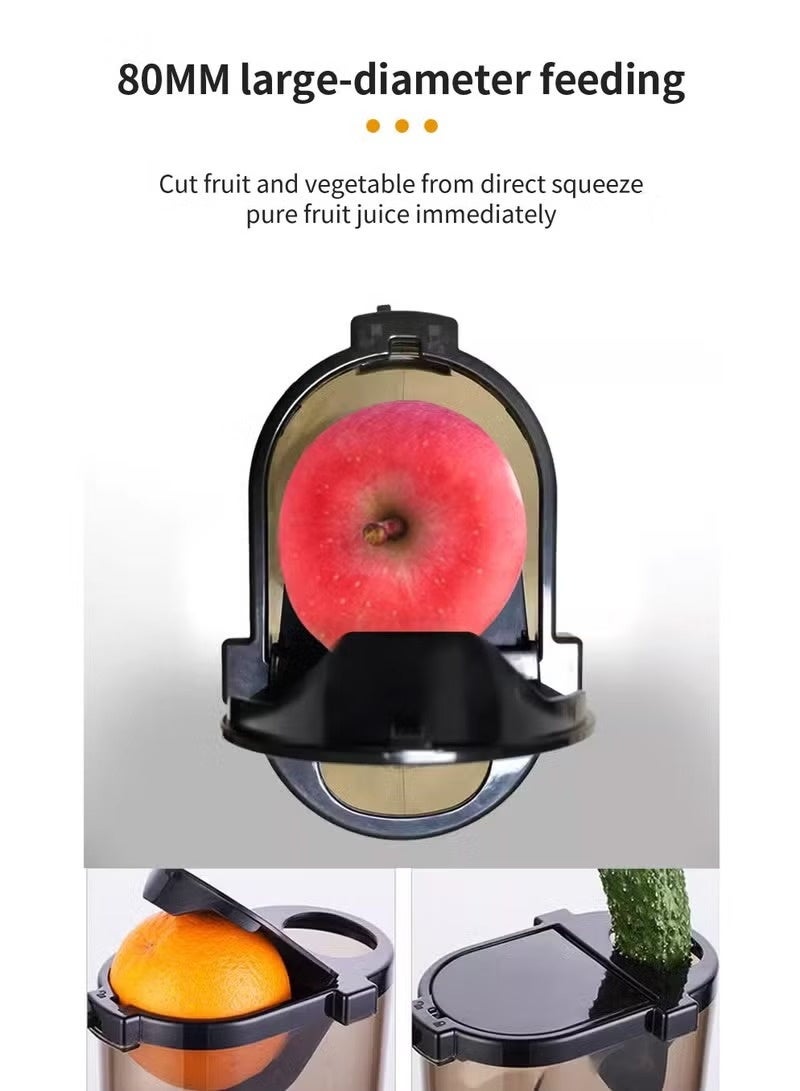 Slow Masticating Juicer, Slow juicer, Fruit/Vegetable Juicer, Cold Press Juicer with High Output - Image 5