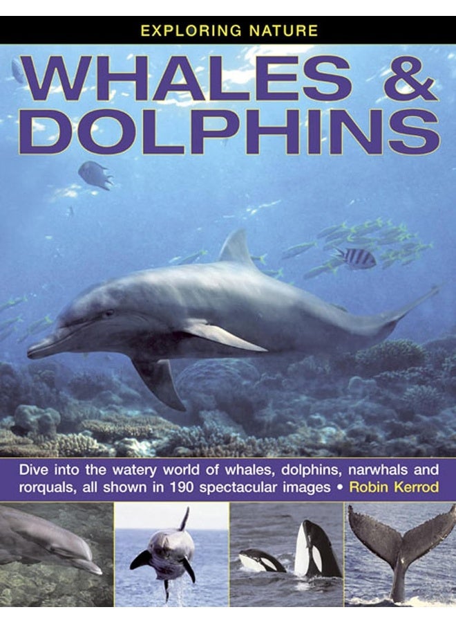 Exploring Nature: Whales & Dolphins: Dive into the Watery World of Whales, Dolphins, Narwhals and Rorquals, All Shown in 190 Spectacular Images - Image 1
