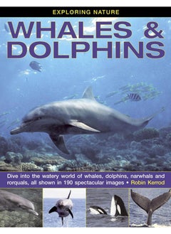 Exploring Nature: Whales & Dolphins: Dive into the Watery World of Whales, Dolphins, Narwhals and Rorquals, All Shown in 190 Spectacular Images  - Image 2