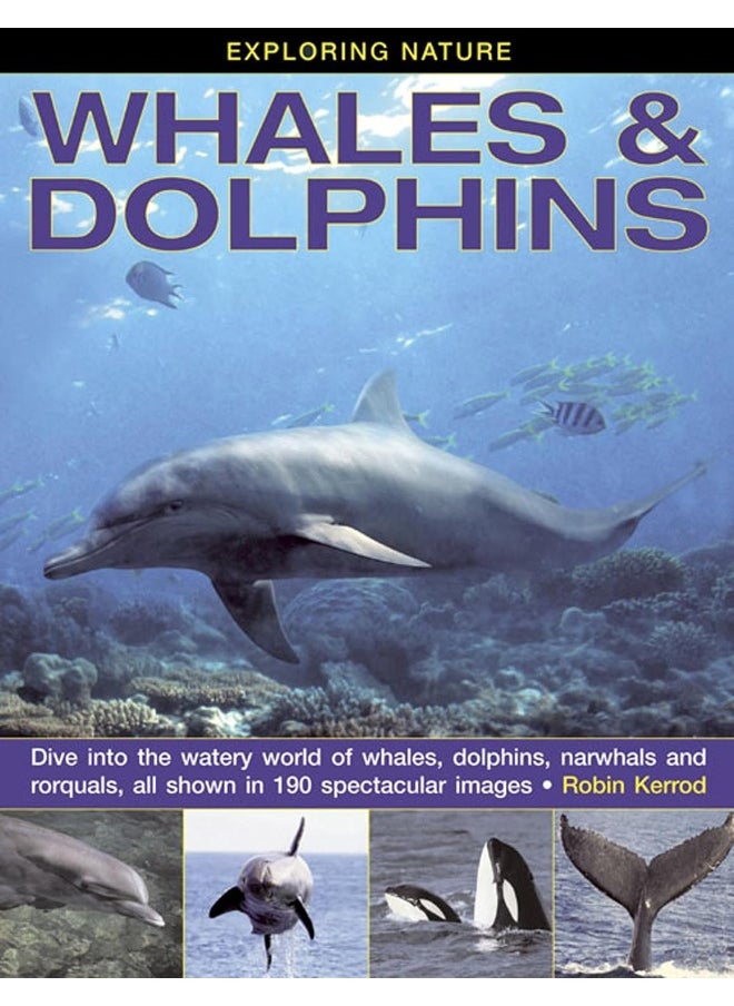 null - Exploring Nature: Whales & Dolphins: Dive into the Watery World of Whales, Dolphins, Narwhals and Rorquals, All Shown in 190 Spectacular Images - Image 1