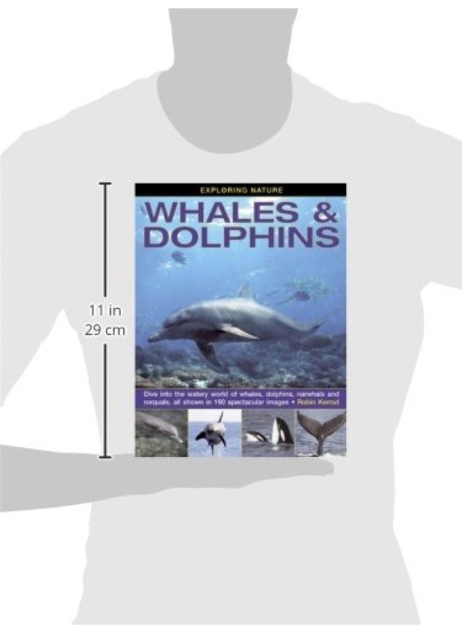 null - Exploring Nature: Whales & Dolphins: Dive into the Watery World of Whales, Dolphins, Narwhals and Rorquals, All Shown in 190 Spectacular Images - Image 1
