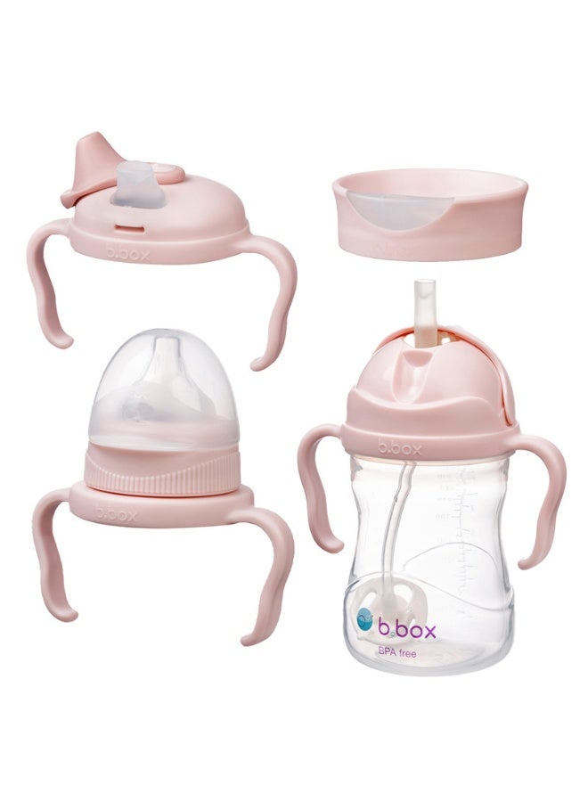 b.box Transition Value Pack - Image 1