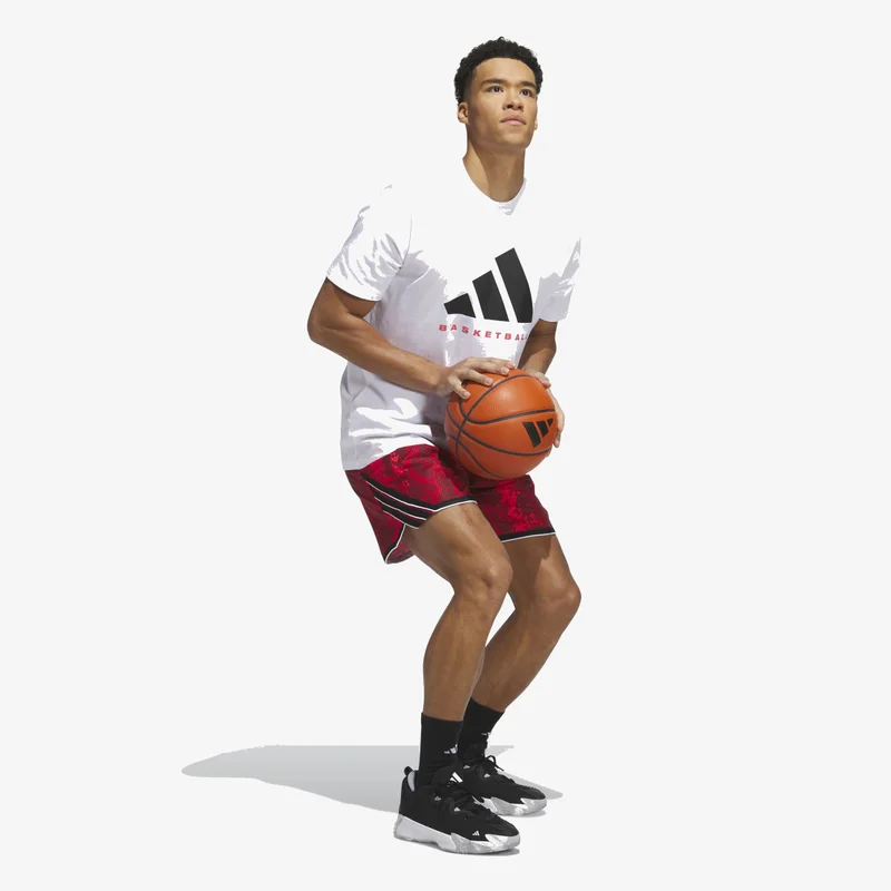 Adidas  ADIDAS BASKETBALL GRAPHIC T-Shirt for Men | Best Price UAE