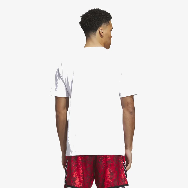 Adidas  ADIDAS BASKETBALL GRAPHIC T-Shirt for Men | Best Price UAE