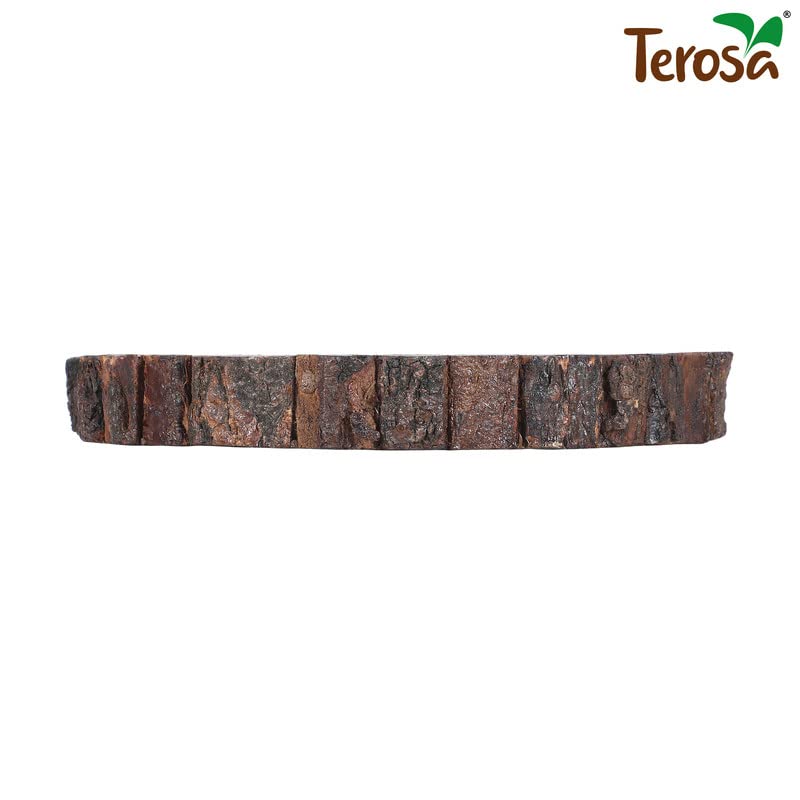 Terosa Rustic Luxuria Indian Rosewood Pizza Plate or Serving Tray I Round I Large I 10 inches - Image 3