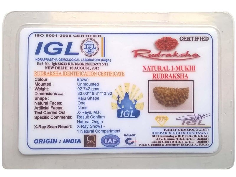Maalavya Original god Shiva Buddah 1 mukhi face siddha rudraksha Evil Eye with Certificate - Image 3