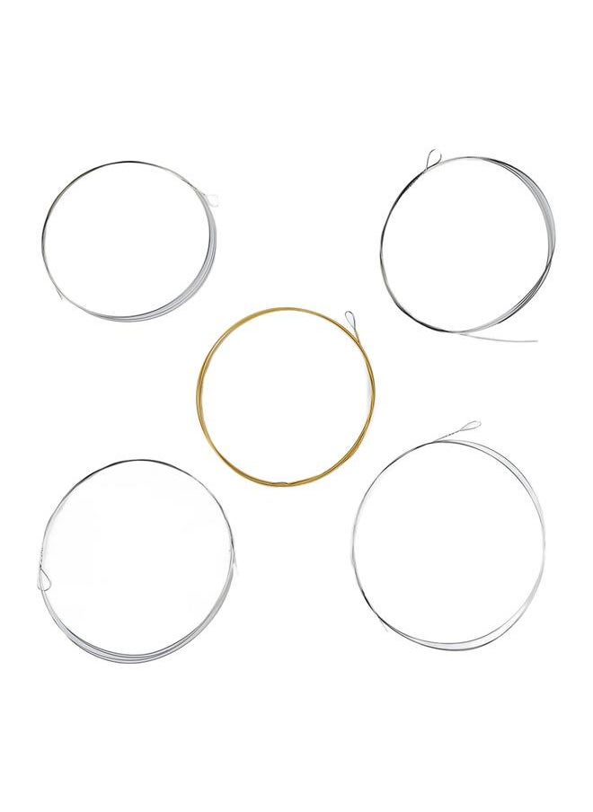 Thoraya - 5 String Banjo String Stainless Steel Full Resonance Thick High Notes Strings Replacement for Performance - Image 1