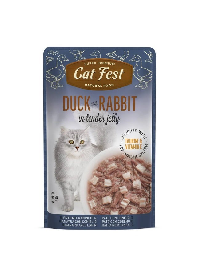 Cat Fest  - Tender Jelly For Cats 70g / Duck with Rabbit