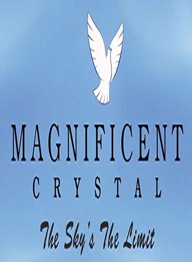 CrystalPlace Magnificent crystal 40mm Clear Crystal Ball Prism 2 Pieces Dazzling Crystal Ceiling FAN Pull Chain - Image 2