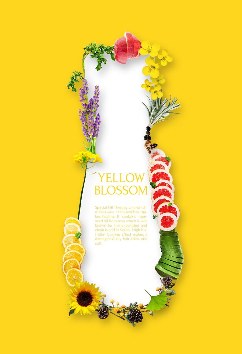 دينغ جي ميو ري شامبو مضاد للتساقط ومرطب بعمق - Image 5