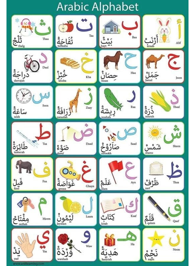 BPA ملصق الأبجدية العربية المصفح BPA مثالي للأطفال الصغار ورياض الأطفال والفصول الدراسية - Image 4