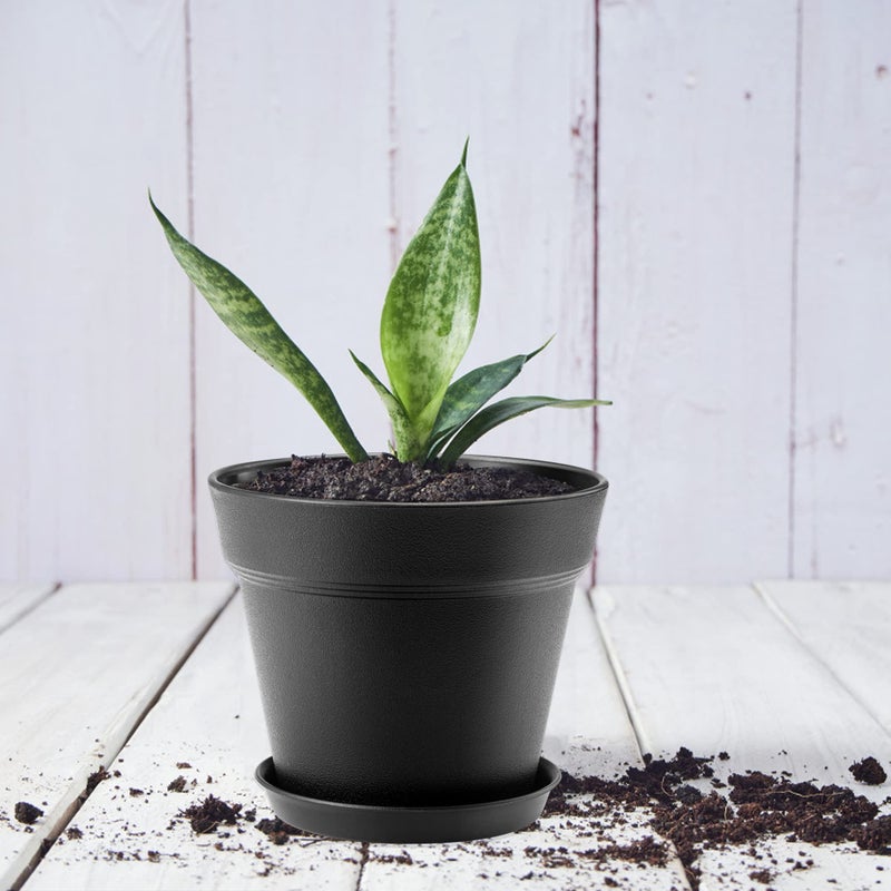 FHWTY 16 Pack Plastic Plant Pots with Drainage Holes and Tray, 4 inch Thickened Indoor Planters Seedlings Nursery Pots for Flowers, African Violet, Succulent and All House Plants, Black - Image 5