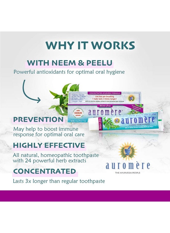 Auromere - Ayurvedic Herbal Toothpaste Mint Freevegan Natural Non Gmo Fluoride Free Gluten Free With Neem & Peelu (4.16 Oz) 1 Pack - Image 1