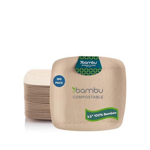 Bambu Bambu Pack of 250  35 Inch Disposable Bamboo Plates Square Biodegradable Eco Friendly Products Bamboo Disposable Plates for Events  Bulk Case 