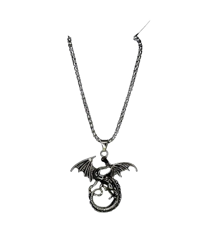 ringzinnie Silver Plated Pendant Necklace for Boys/Men - Stainless Steel Chain for Fashion & Gift - Image 1
