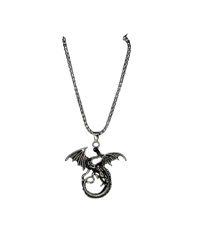 ringzinnie Silver Plated Pendant Necklace for Boys/Men - Stainless Steel Chain for Fashion & Gift - Image 2