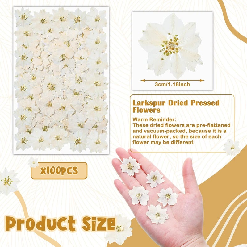 Woanger ووانجر 100 قطعة زهور مجففة مضغوطة زهور صغيرة جافة طبيعية حقيقية حشو راتنج للحرف اليدوية تزيين الشموع المجوهرات DIY صنع الفن أبيض - Image 2
