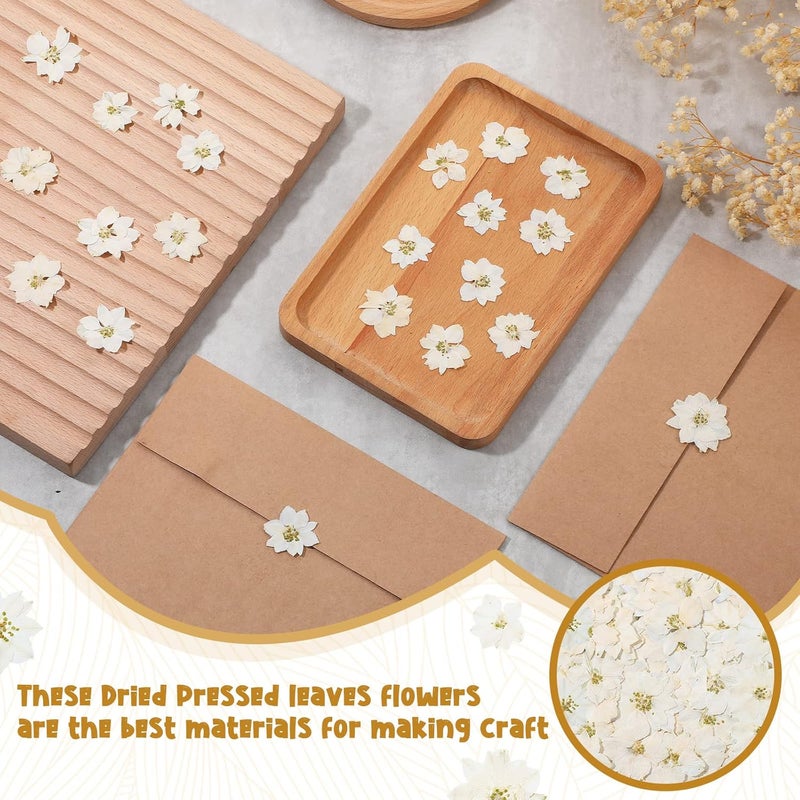 Woanger ووانجر 100 قطعة زهور مجففة مضغوطة زهور صغيرة جافة طبيعية حقيقية حشو راتنج للحرف اليدوية تزيين الشموع المجوهرات DIY صنع الفن أبيض - Image 4