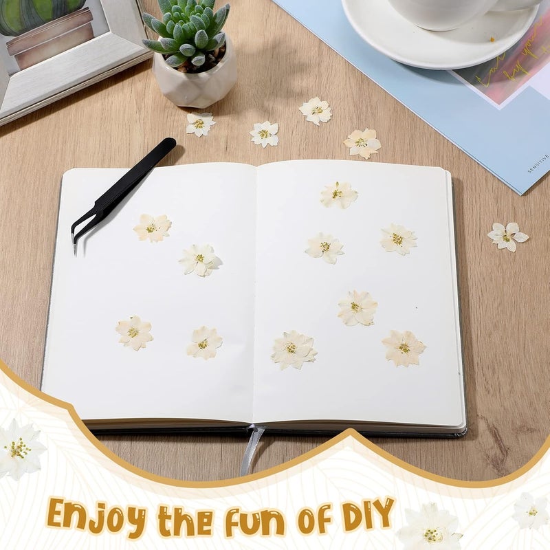 Woanger ووانجر 100 قطعة زهور مجففة مضغوطة زهور صغيرة جافة طبيعية حقيقية حشو راتنج للحرف اليدوية تزيين الشموع المجوهرات DIY صنع الفن أبيض - Image 5