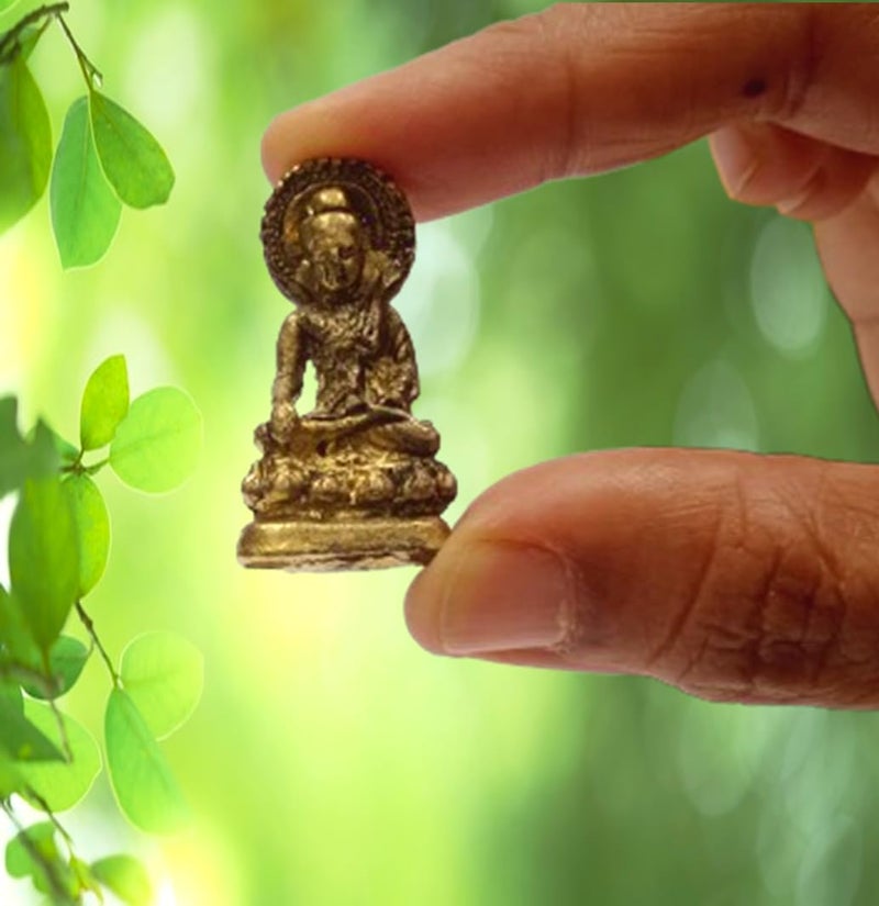 Purpledip Rare Miniature Statue Gautam Buddha in Varada Mudra, Unique Collectible Gift (11400) - Image 4