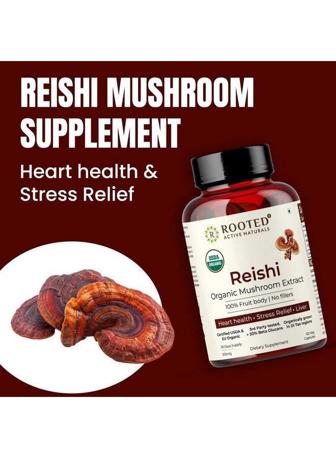 Rooted Active's Reishi Mushroom - Heart & Immune Health Support Supplement | Mushroom Supplement to Support Energy, Mood, Sleep & Aid Overall Well-Being - 60 Capsules - Image 4