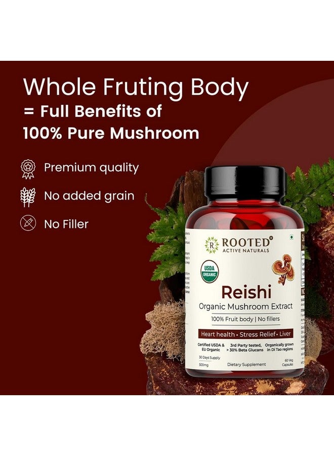 Rooted Active's Reishi Mushroom - Heart & Immune Health Support Supplement | Mushroom Supplement to Support Energy, Mood, Sleep & Aid Overall Well-Being - 60 Capsules - Image 2