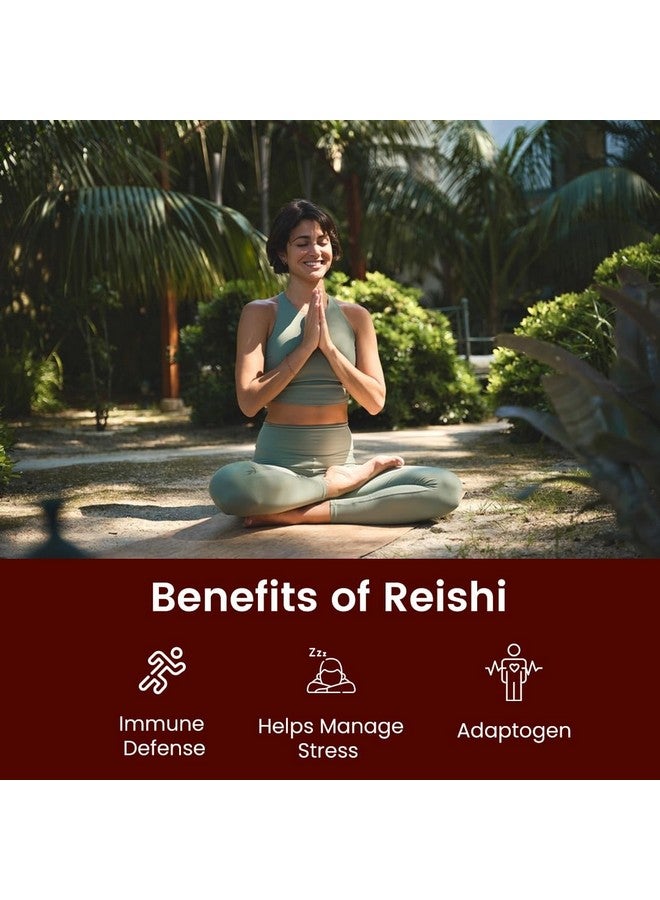 Rooted Active's Reishi Mushroom - Heart & Immune Health Support Supplement | Mushroom Supplement to Support Energy, Mood, Sleep & Aid Overall Well-Being - 60 Capsules - Image 5