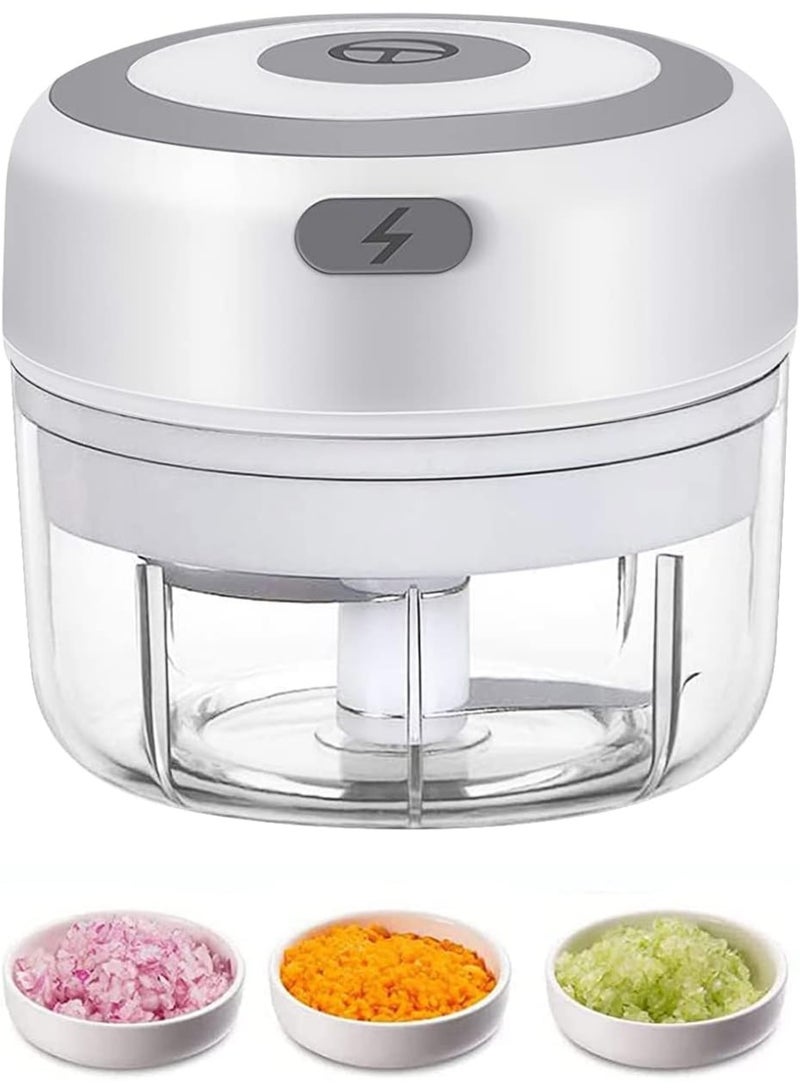M MIAOYAN Electric Mini Garlic Chopper, 100ml Food Chopper/Garlic Mincer/USB Powered Portable Mini Vegetable Food Processor - Image 1