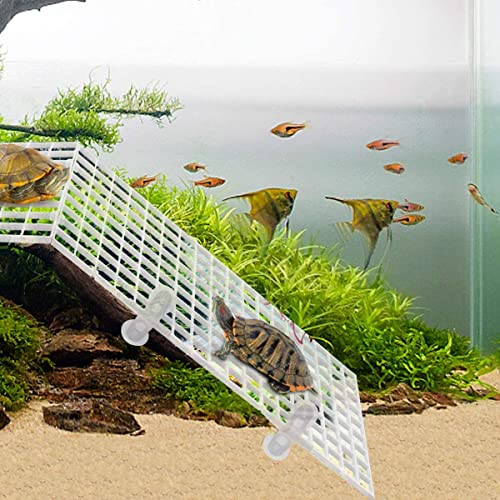 SANSEFERO Premier Plants Aquarium White Divider 4 Pcs With 4 Pcs Grid Divider/Aquarium Fish Tray Egg Crate/Turtle Climber/Bottom Filter Isolation Board (White) - Image 3