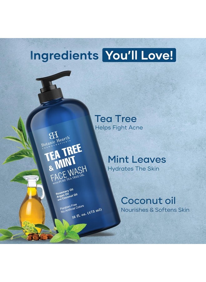 Botanic Hearth Botanic Hearth Tea Tree Face Wash with Mint - Acne Fighting, Premium, Hydrating Liquid Face Soap with Pure Tea Tree Oil - for Women and Men, Paraben Free, Fights Acne - 16 fl oz  - Image 5