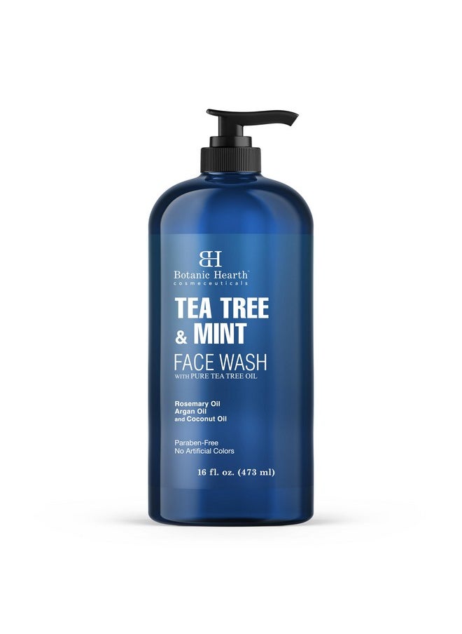 Botanic Hearth Botanic Hearth Tea Tree Face Wash with Mint - Acne Fighting, Premium, Hydrating Liquid Face Soap with Pure Tea Tree Oil - for Women and Men, Paraben Free, Fights Acne - 16 fl oz  - Image 1