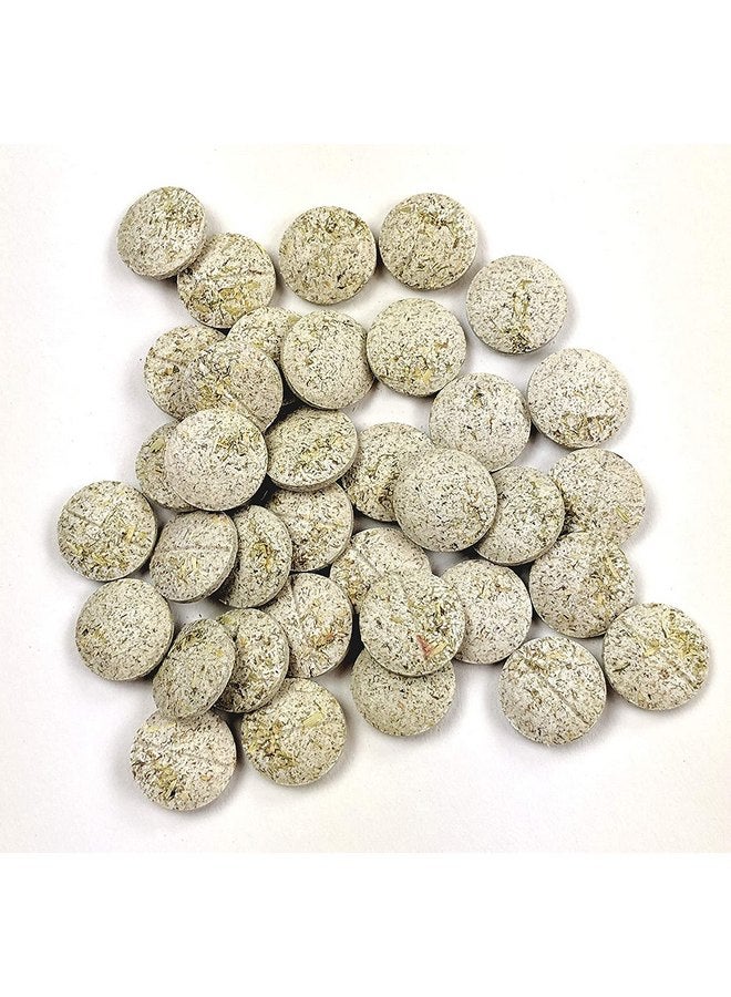 أوكسبو عبوة من 3 قطع من رقائق البابايا الطبيعية لدعم الهضم للحيوانات الأليفة الصغيرة، 1.16 أونصة لكل قطعة، صُنعت في الولايات المتحدة الأمريكية - Image 3