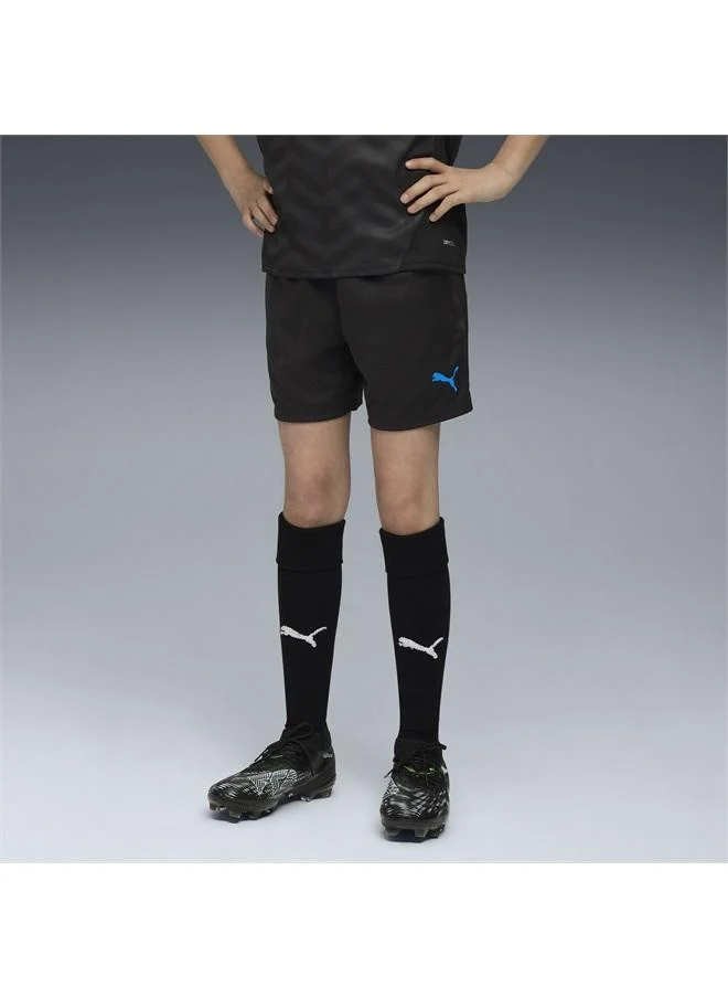 Puma individualCUP Football Training Shorts Youth