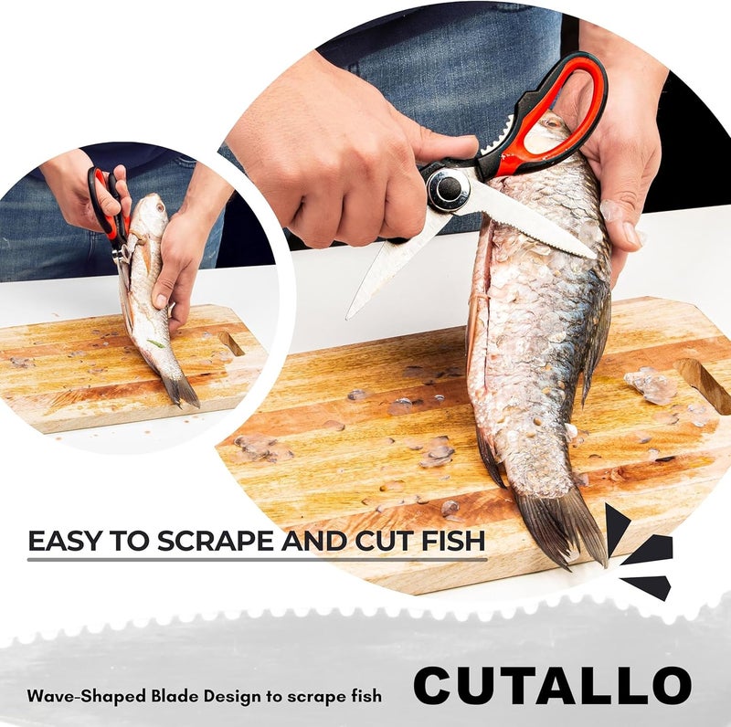 CUTALLO Kitchen Scissors Stainless Steel Sharp Blades with Cushioned Soft TPR Grip for Easy Handling – Heavy Duty Multipurpose Scissors for Meat, Chicken, Fish, Vegetables, & Herbs – Bottle Opener - Image 3