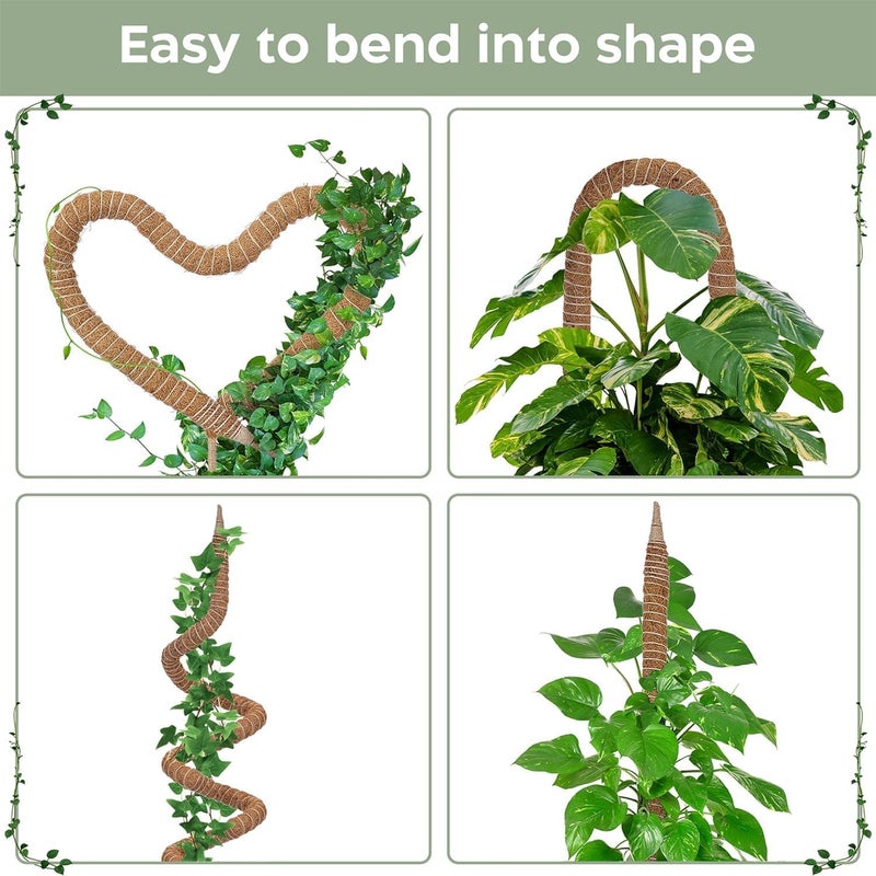 K-Brands 2 Pack 63'' Bendable Moss Pole Monstera Plant Support for Large Climbing Indoor Plants - Stakes for Potted Climbers - Tall Sticks Indoor Trellis for Houseplants - Accessories for Monstera Pot - Image 3