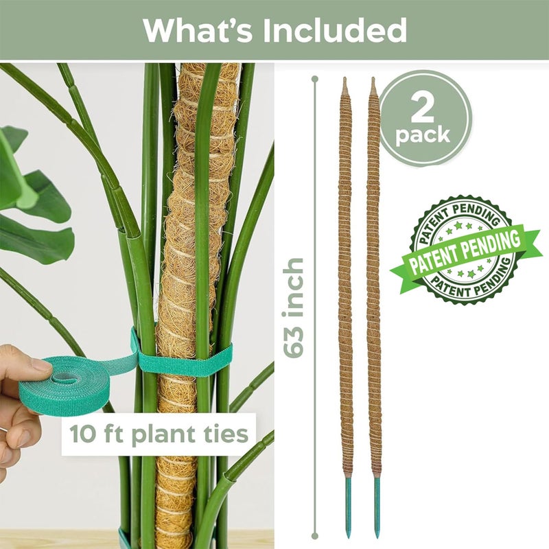 K-Brands 2 Pack 63'' Bendable Moss Pole Monstera Plant Support for Large Climbing Indoor Plants - Stakes for Potted Climbers - Tall Sticks Indoor Trellis for Houseplants - Accessories for Monstera Pot - Image 2