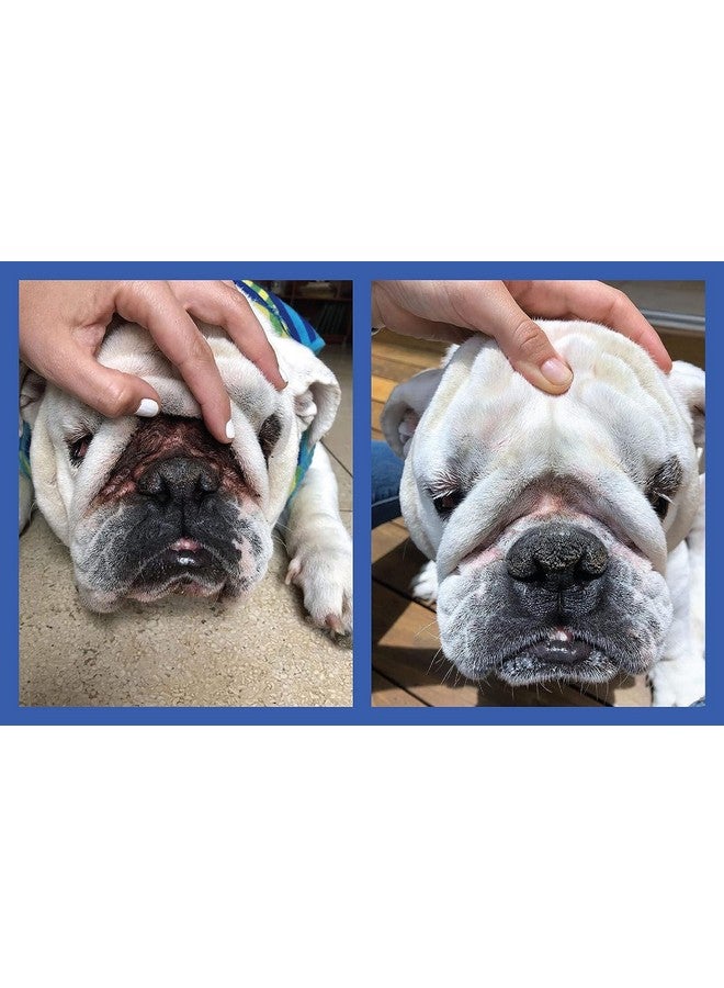 Squishface Wrinkle Paste - 2 Pack - Bulldog, French Bulldog, Pug, English Bulldog - Cleans Wrinkles, Tear Stain, Tail Pockets, and Paws - Anti-Itch Tear Stain Remover & Bulldog Wrinkle Cream, 2 Oz. - Image 4