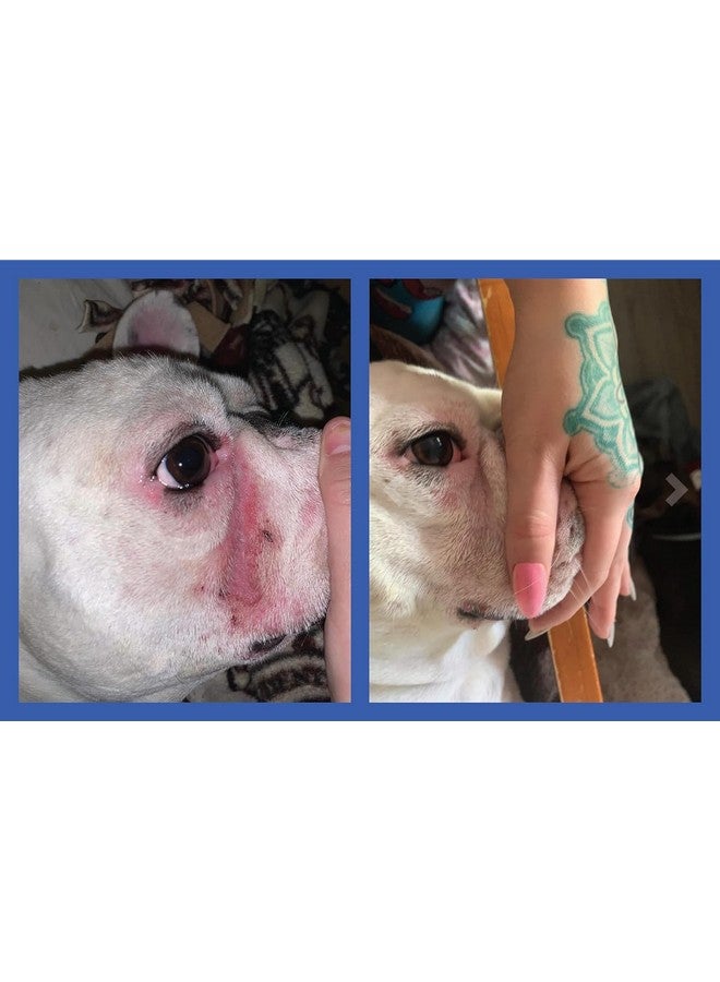 Squishface Wrinkle Paste - 2 Pack - Bulldog, French Bulldog, Pug, English Bulldog - Cleans Wrinkles, Tear Stain, Tail Pockets, and Paws - Anti-Itch Tear Stain Remover & Bulldog Wrinkle Cream, 2 Oz. - Image 5