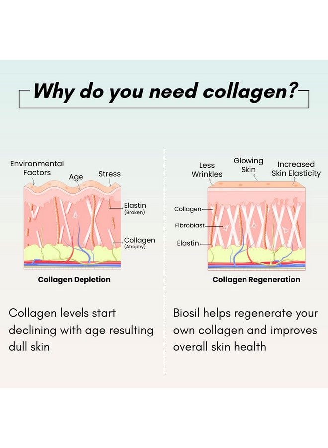 BIOSIL Biosil collagen booster for glowing, radiant skin, healthy, shiny hair/Supplement for Women & Men for Anti-Ageing, fine line, wrinkles - 30 capsules - Image 3