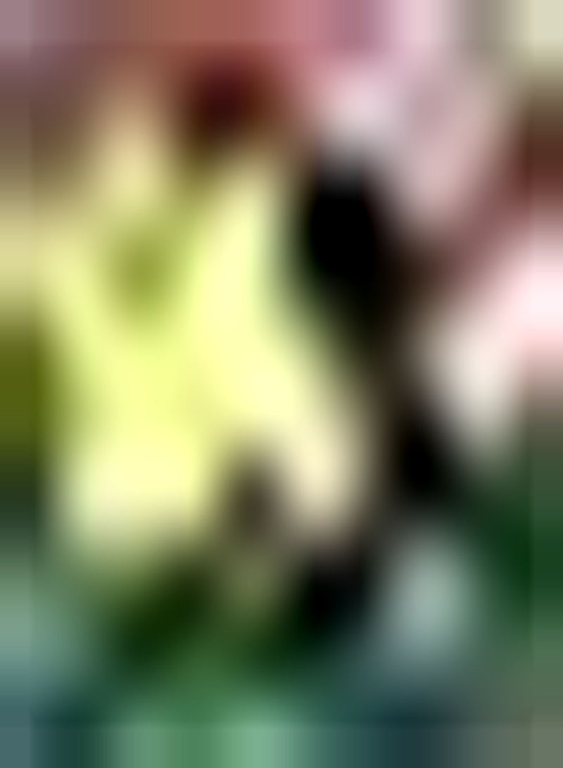 GGOOT 200pcs Begonia Seeds Delicate Bouquets for Decoration Wedding Festivals Perennial Exotic Flower Decoration Garden Bloom All Year Round - Image 2