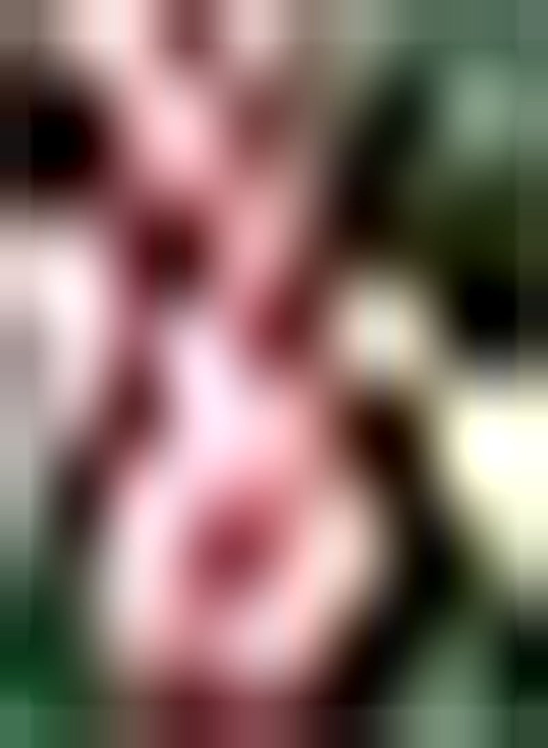 GGOOT 200pcs Begonia Seeds Delicate Bouquets for Decoration Wedding Festivals Perennial Exotic Flower Decoration Garden Bloom All Year Round - Image 1