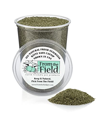 from The Field | Fine Ground Stalkless Catnip | Premium USA-Grown Catnip for Toys & Playtime | Fresh, Potent, Non-Toxic, Eco-Friendly | Safe for Kittens & Cats | Resealable 6 oz Tub - Image 2