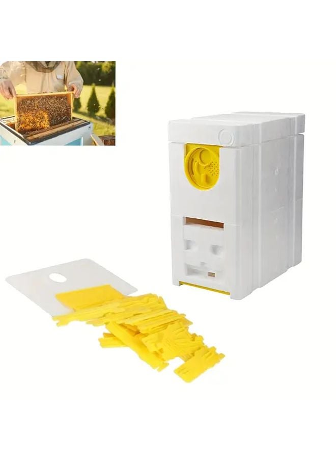 2 Layer Beehive With Observation Window Honey Storage Box Plastic Beekeeping Kit - Image 2