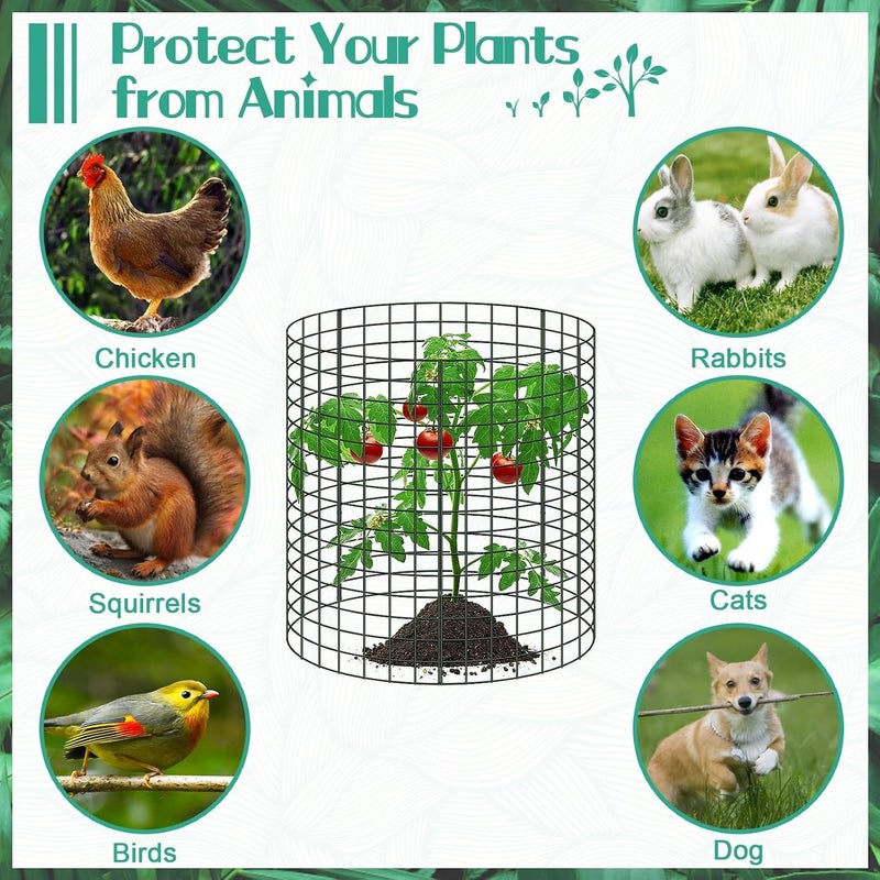 KASTWAVE 6 Packs 12"x12" Metal Wire Plant Protectors, Durable Garden Plant Cages with Stakes and Nylon Ties, Vegetable and Shrub Guard, Animal Pest Barrier, Mesh Plant Cloche for Outdoor Plant Protection - Image 4
