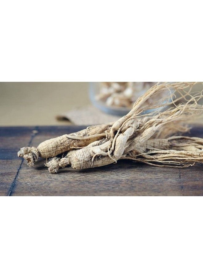 Antler Farms - 100% Pure Organic Panax Ginseng Extract 180 Capsules 500Mg Extracted From Slow Grown Aged Ginseng Root 10% Min. Ginsenosides Boost Mental Performance Energy And Immunity - Image 1