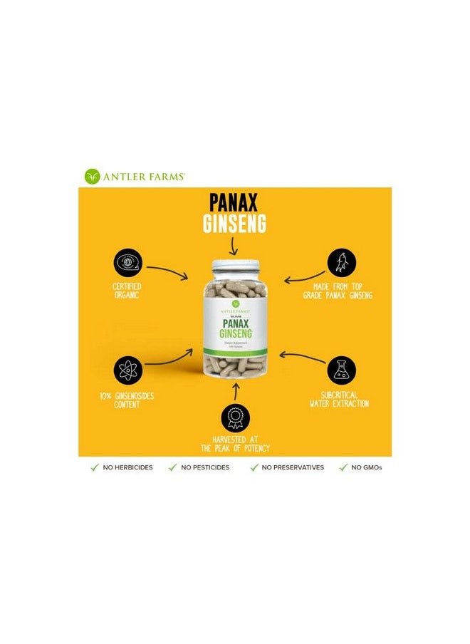 Antler Farms - 100% Pure Organic Panax Ginseng Extract 180 Capsules 500Mg Extracted From Slow Grown Aged Ginseng Root 10% Min. Ginsenosides Boost Mental Performance Energy And Immunity - Image 1