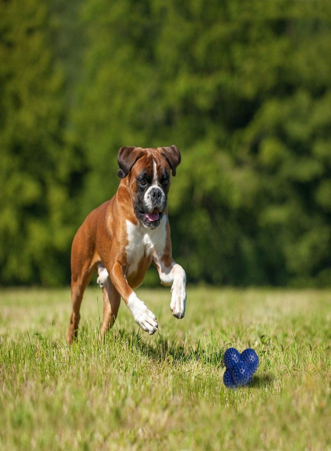 Nylabone Power Play Crazy Ball Interactive Play Toy, Fetch Ball Toy for Dogs, Large (1 Count) - Image 5