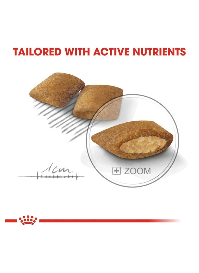 ROYAL CANIN Canine Care Nutrition Exigent Mini 3 KG - Image 2