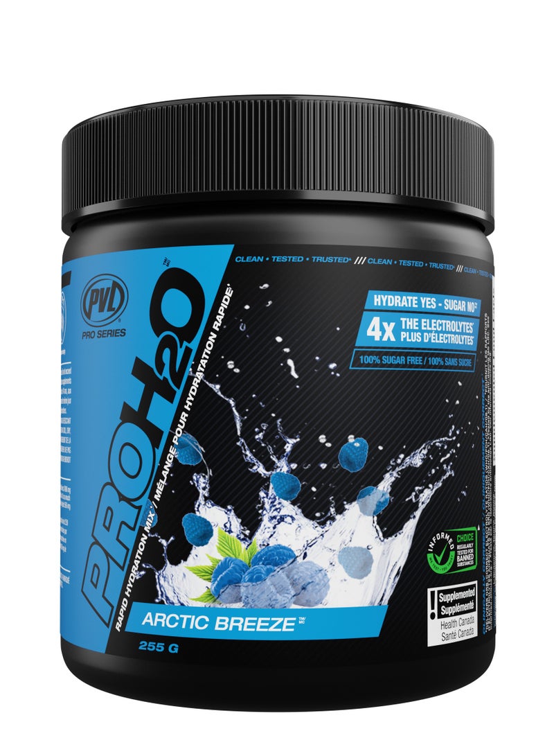 PVL Pro Series PROH2O 255g Arctic Breeze Electrolytes - Image 1