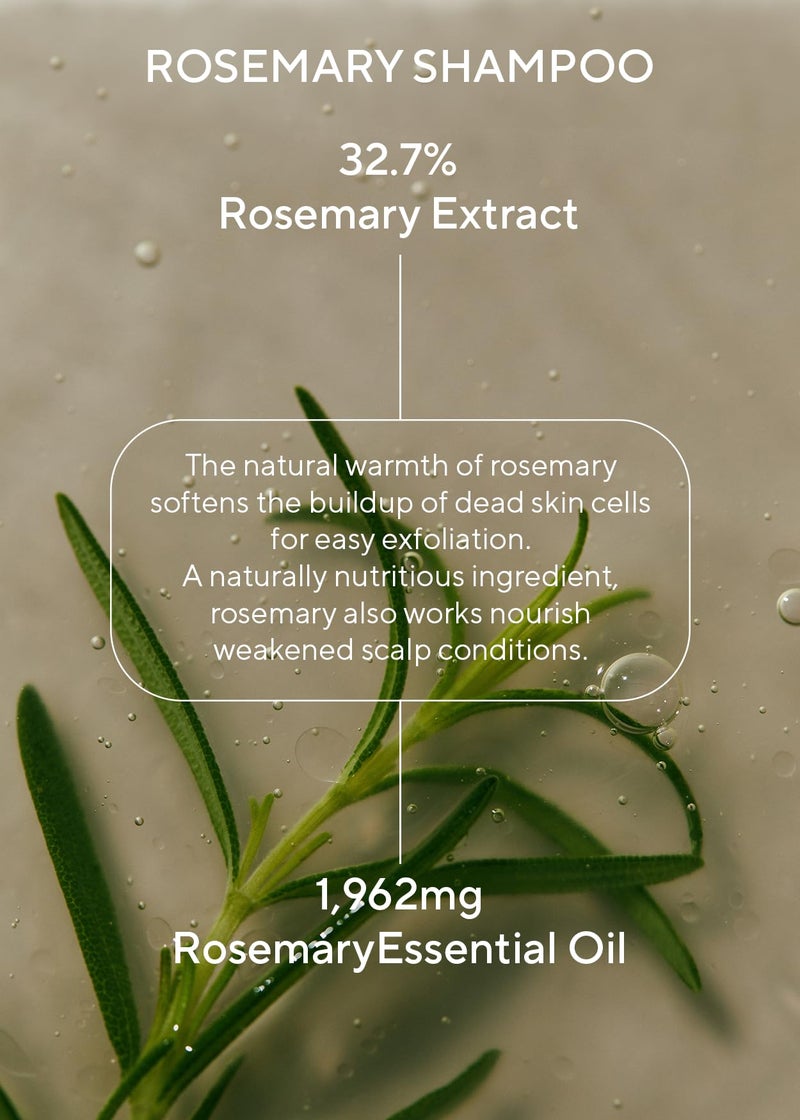 AROMATICA مجموعة شامبو وبلسم AROMATICA بالروزماري لتقشير فروة الرأس 13.53 أونصة سائلة لكل منهما - مجموعة هدايا كورية للعناية بالشعر للنساء بزيت الروزماري. شامبو وبلسم خالي من الكبريتات لنمو الشعر. - Image 4